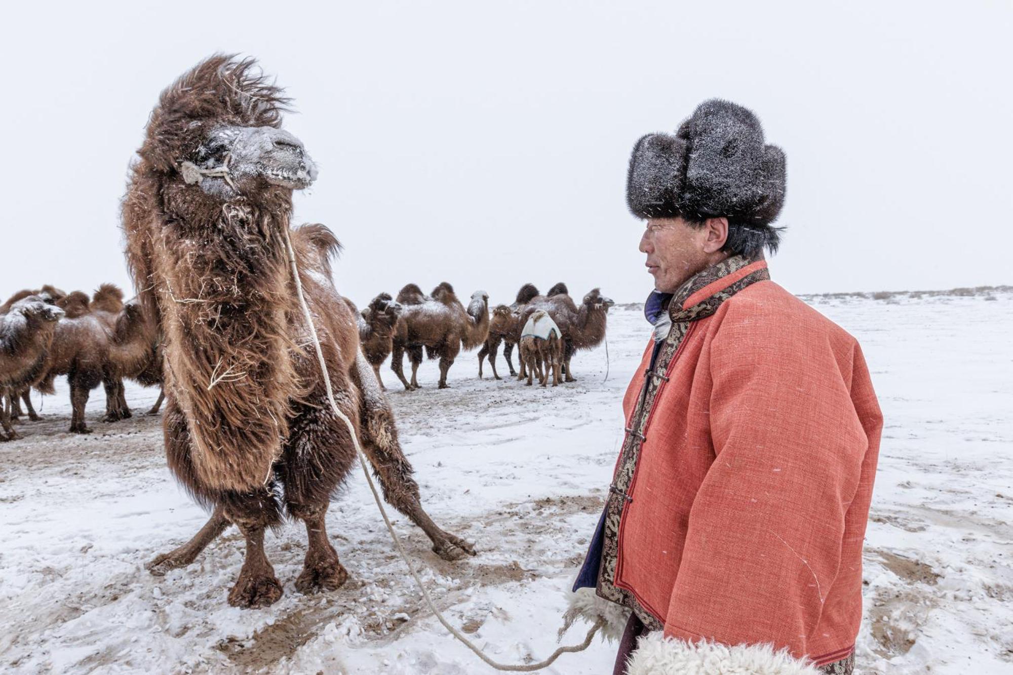 Gobi-Girl Hotell Ulan Bator Exteriör bild