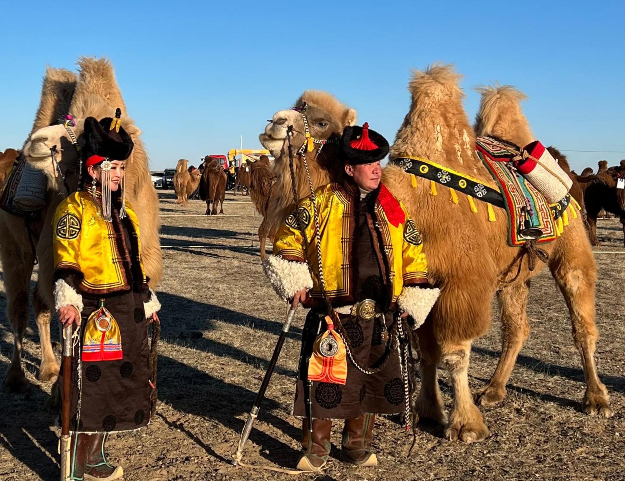 Gobi-Girl Hotell Ulan Bator Exteriör bild