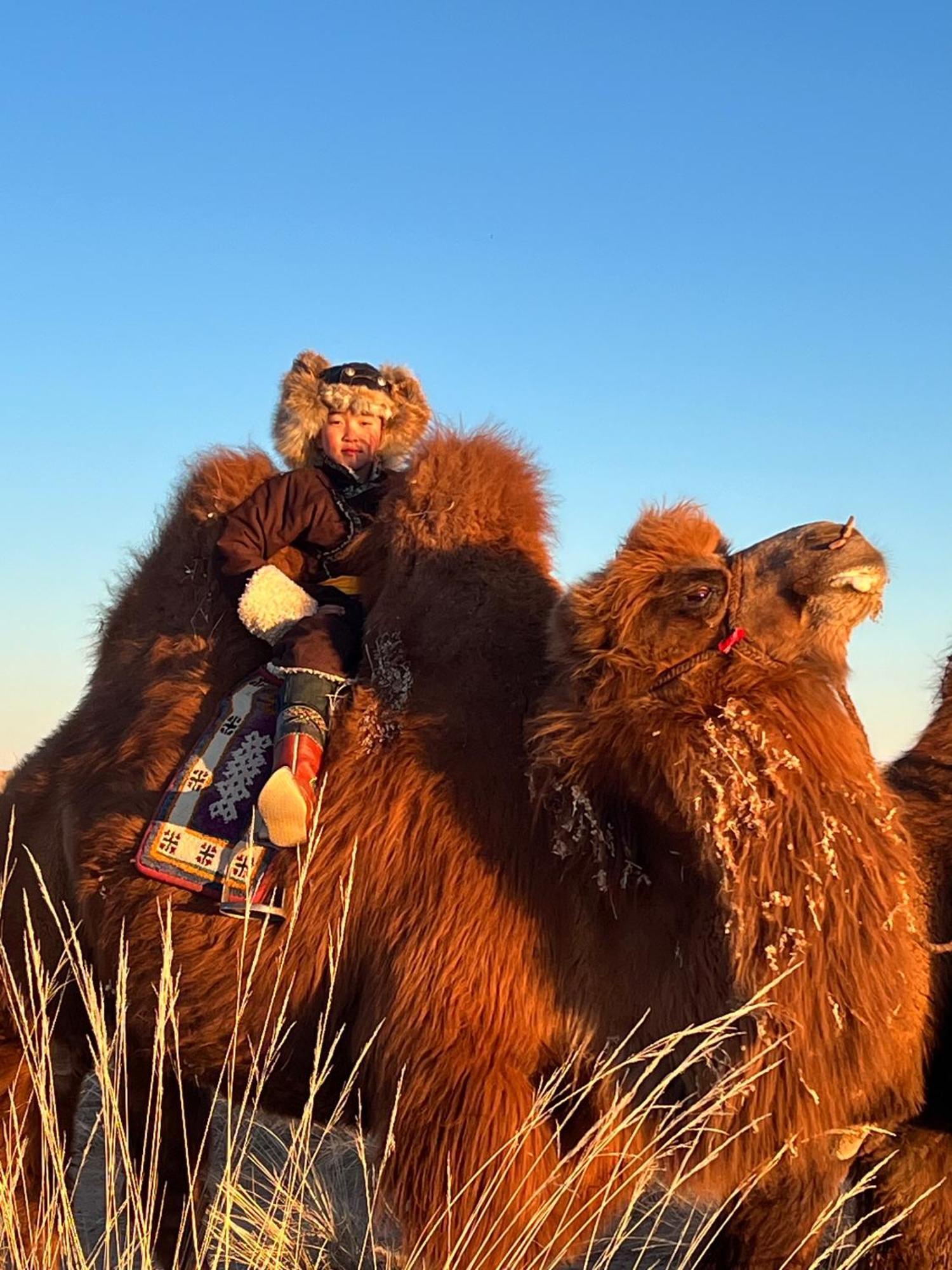 Gobi-Girl Hotell Ulan Bator Exteriör bild